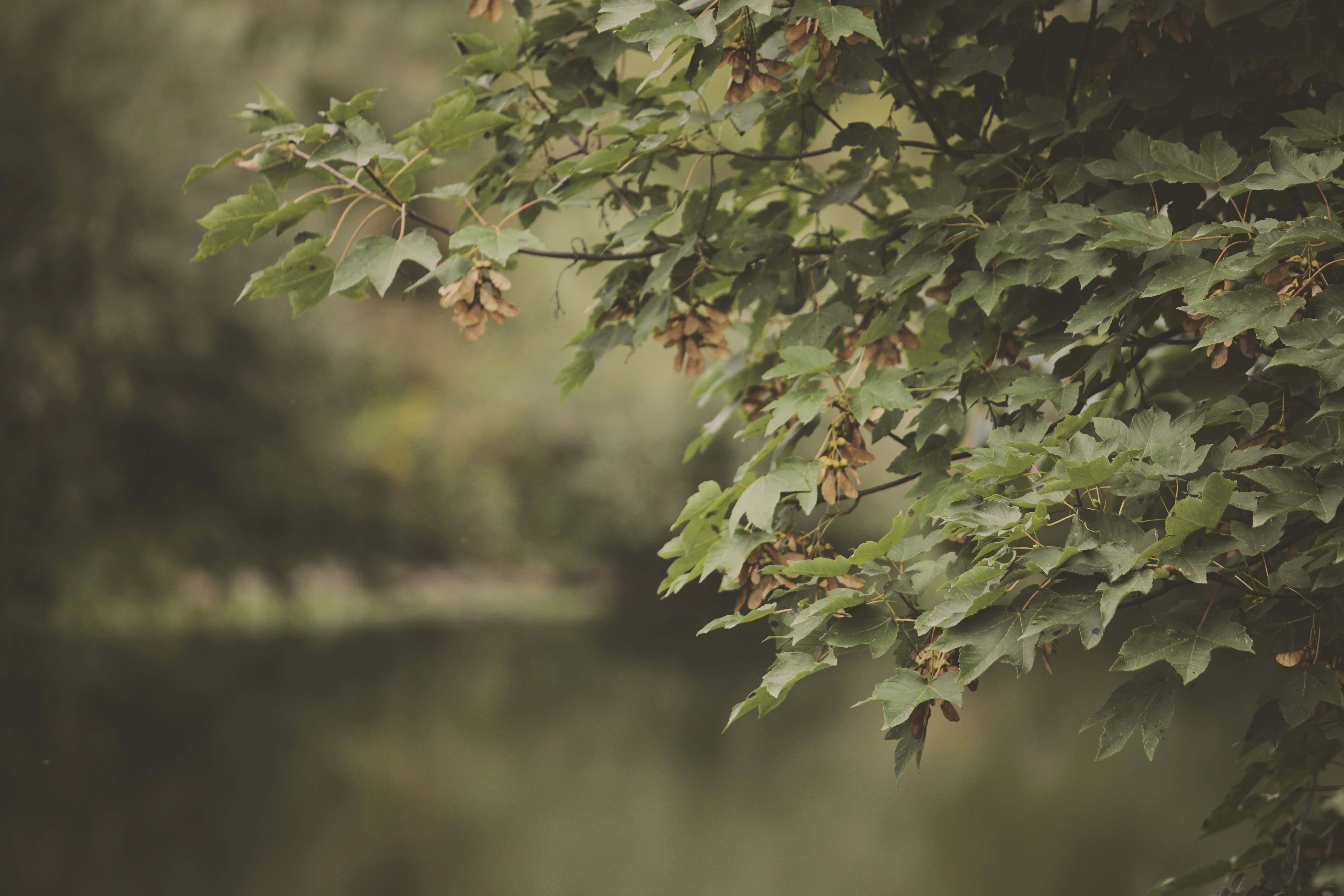 Photo by quadratmedia