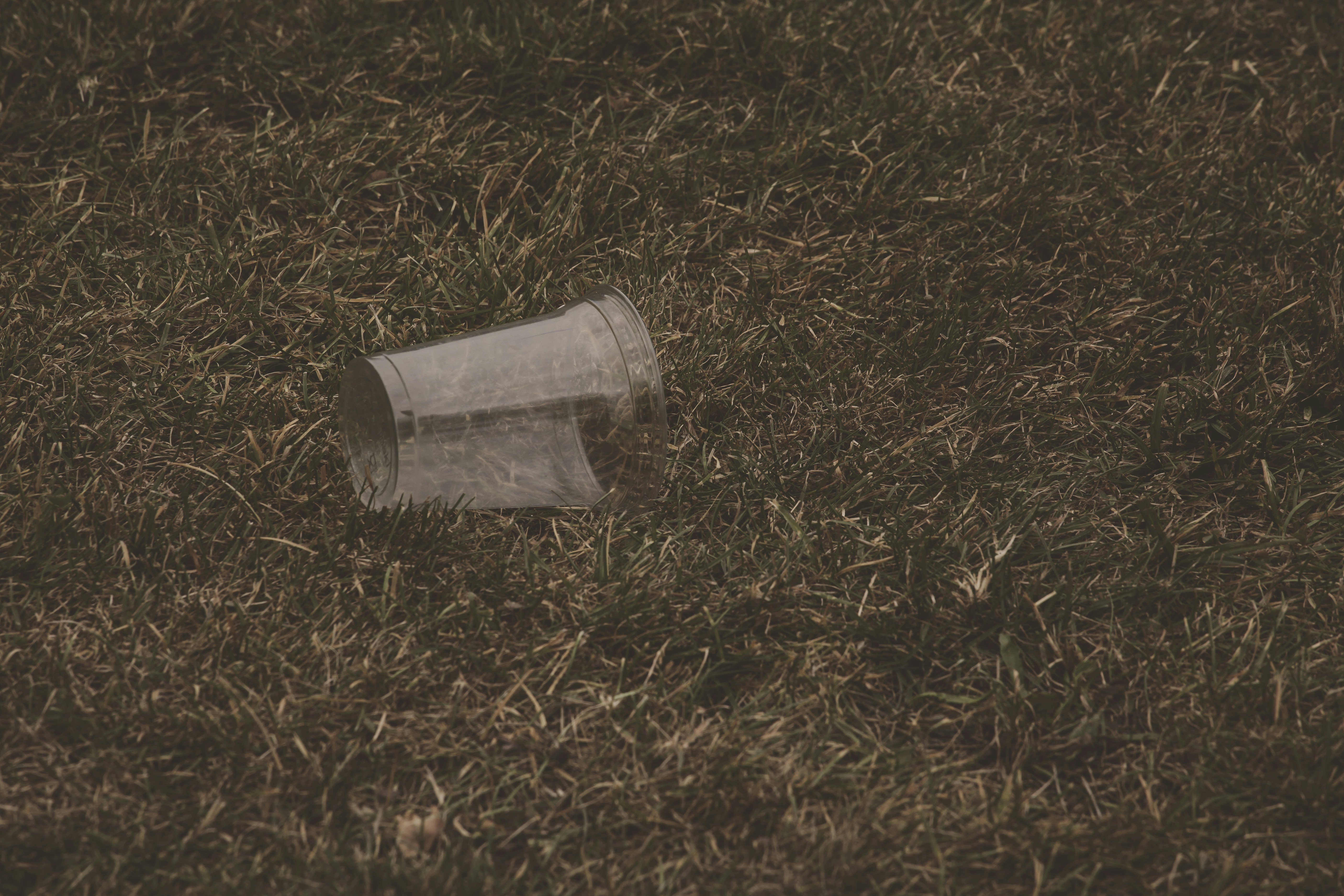 Photo by quadratmedia