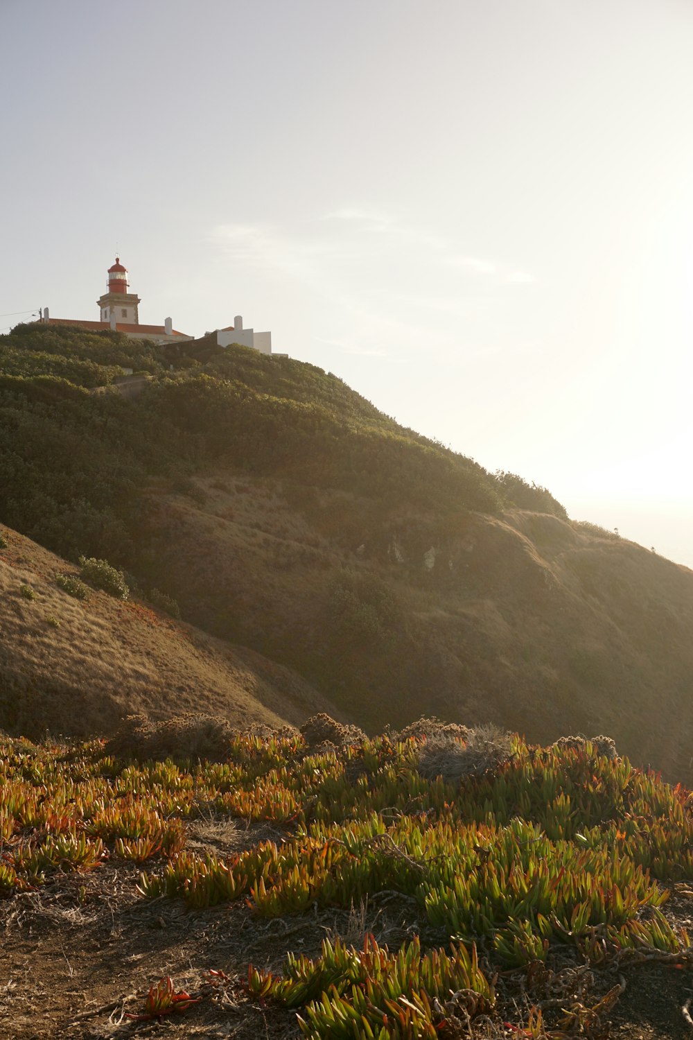 a grassy hill with a light house on top of it