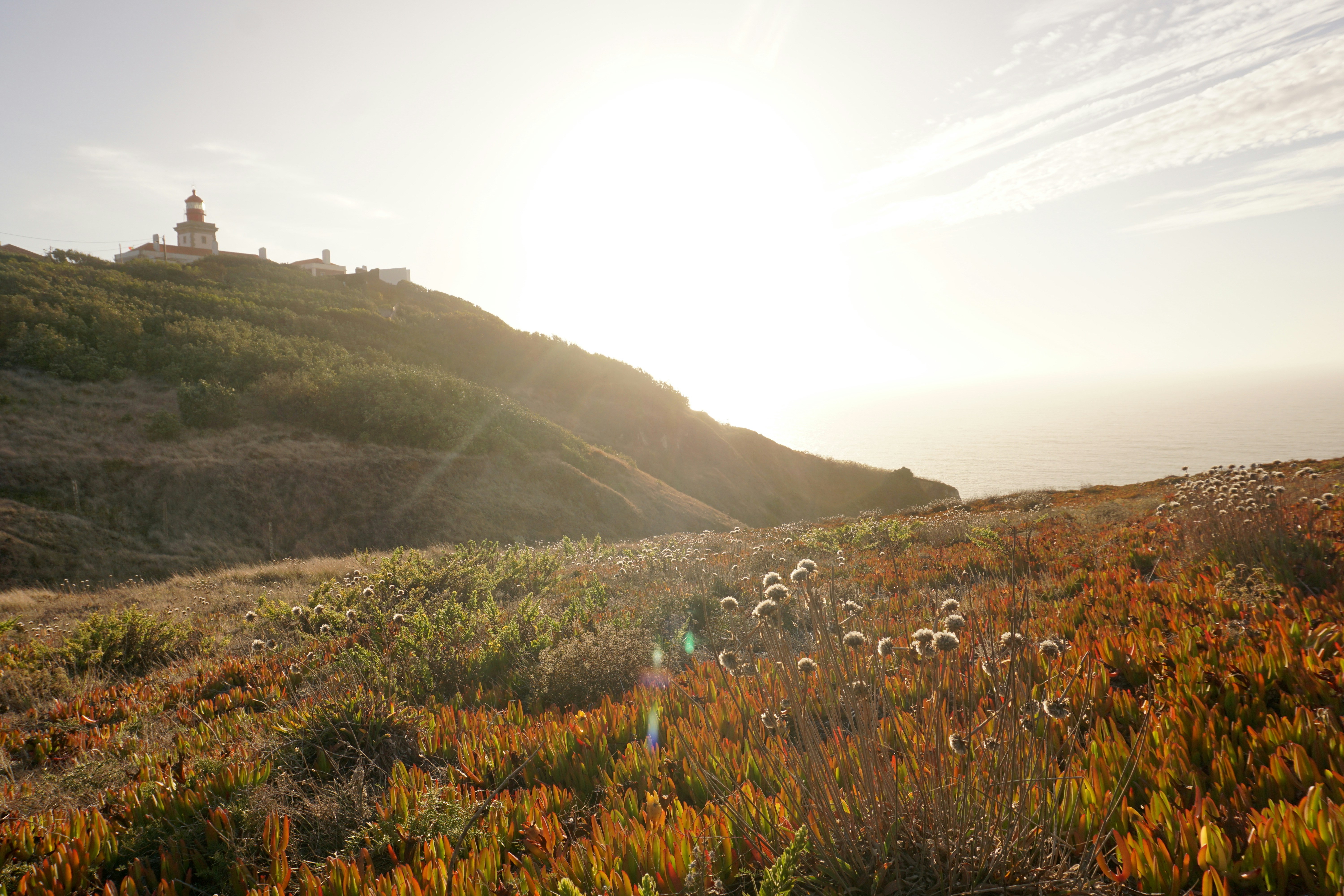 Photo by _timvancleef