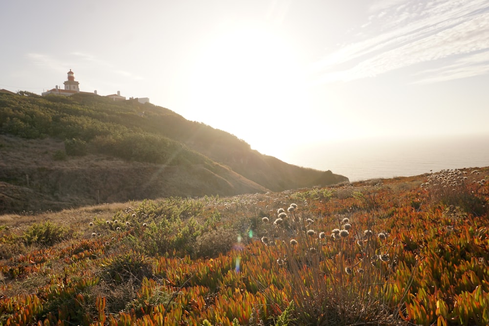 the sun is shining over a grassy hill