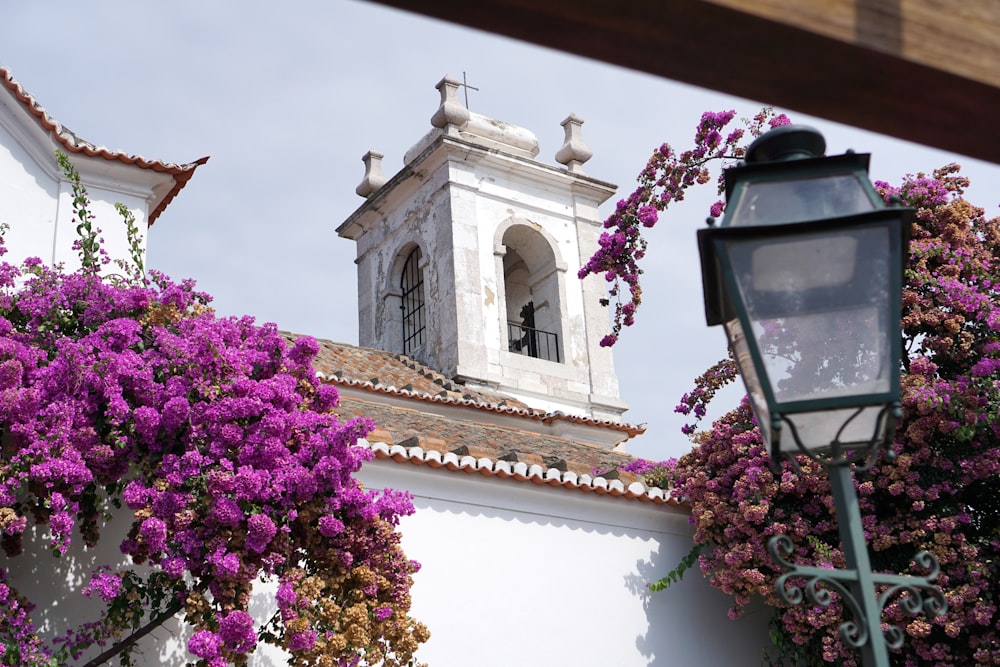 Un edificio blanco con un campanario y flores púrpuras