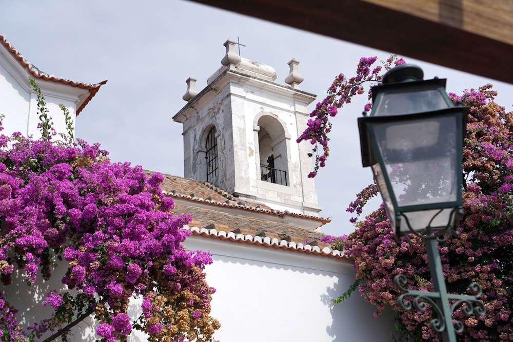 a white building with a bell tower and purple flowers