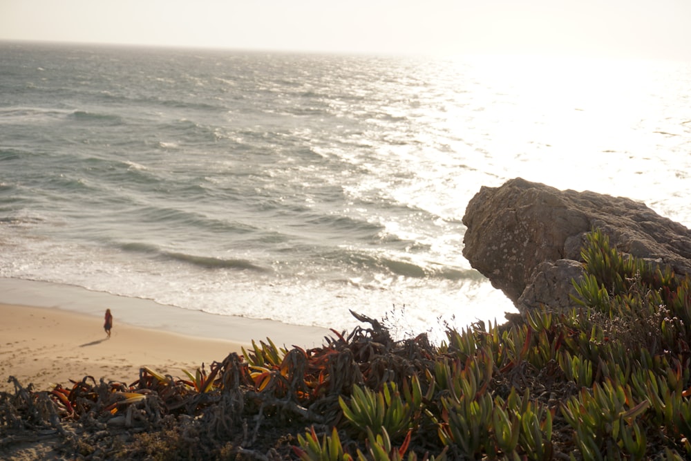 a person standing on a beach next to the ocean