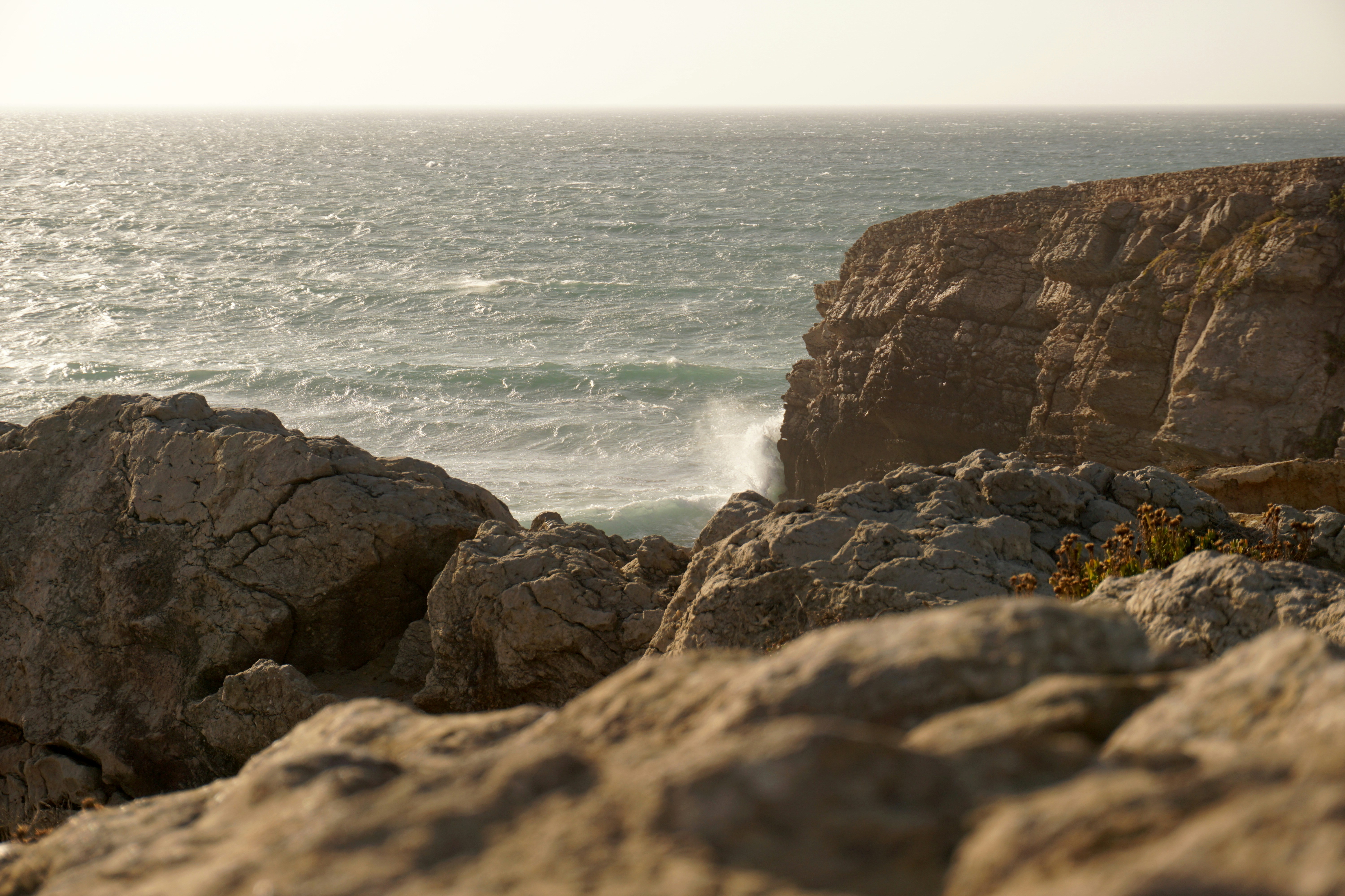 Photo by _timvancleef