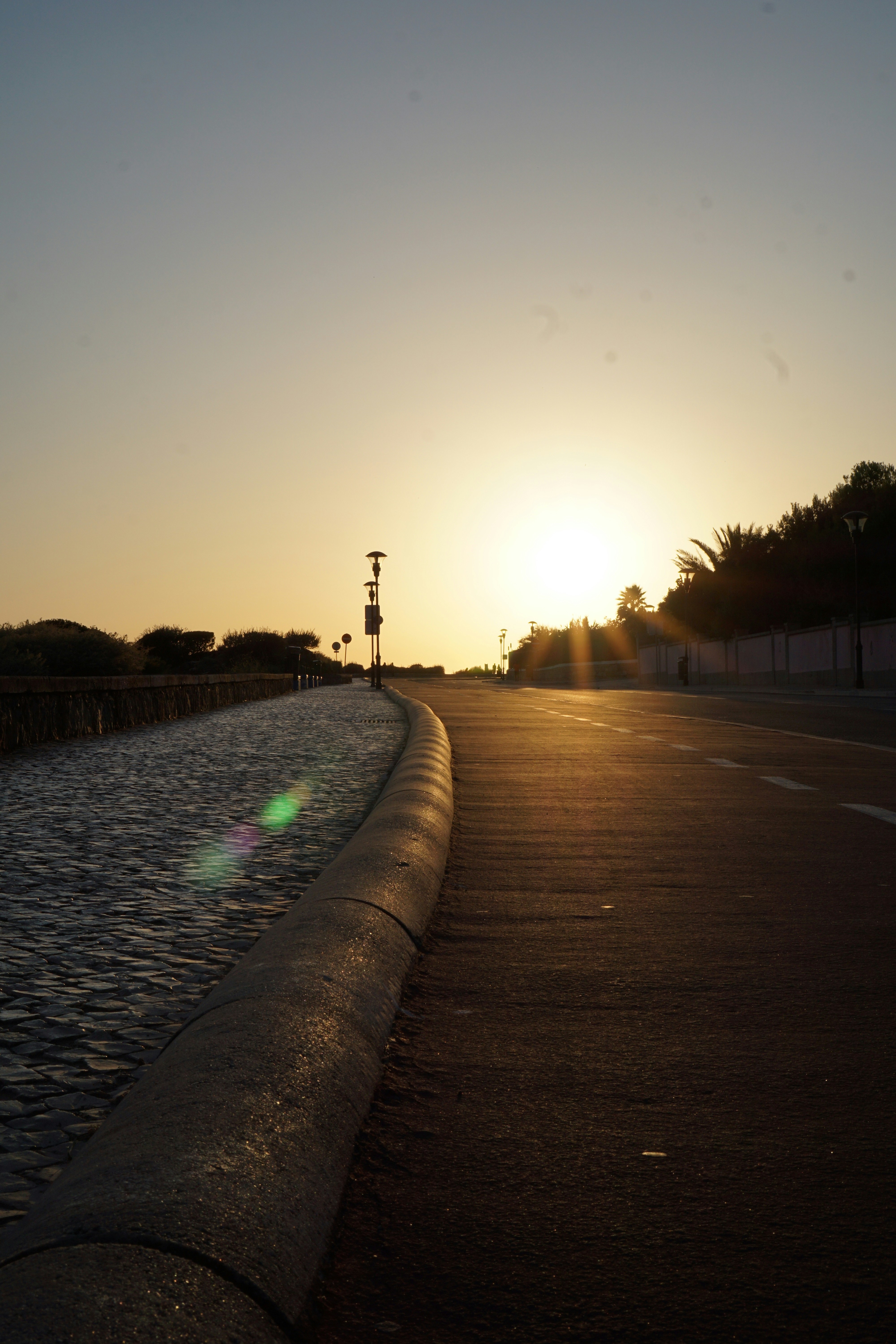 Photo by _timvancleef