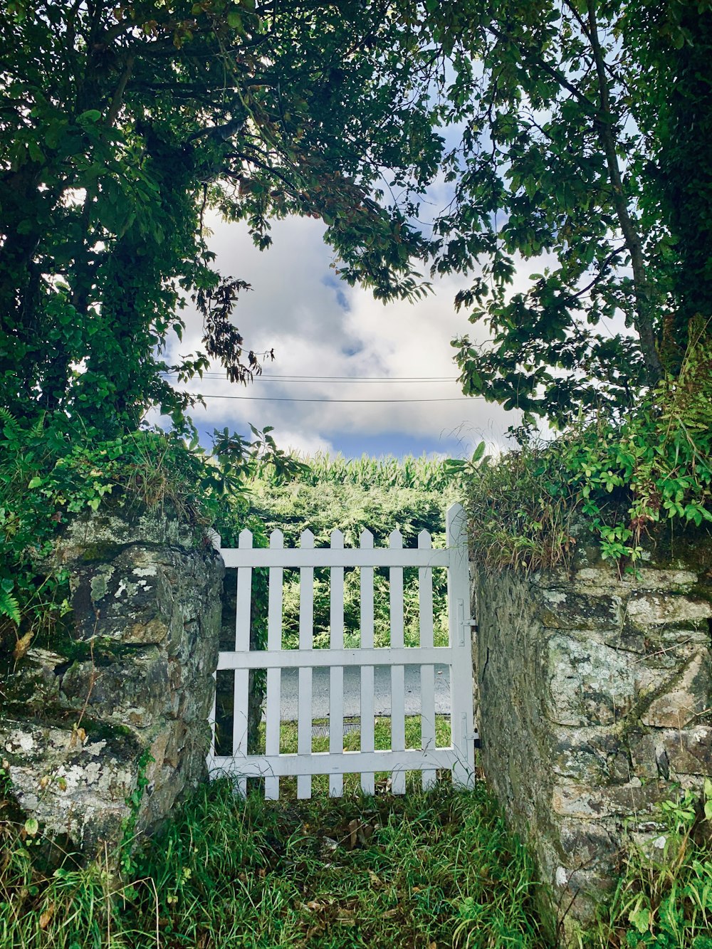 a white gate in the middle of a stone wall