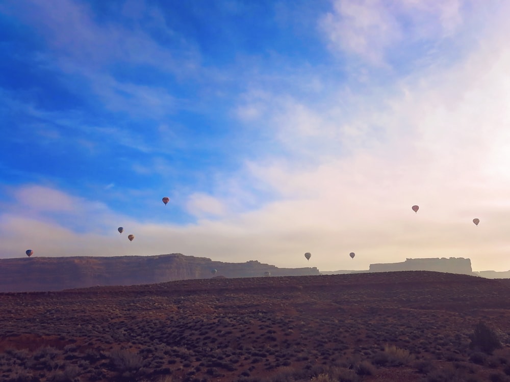 a group of hot air balloons flying in the sky