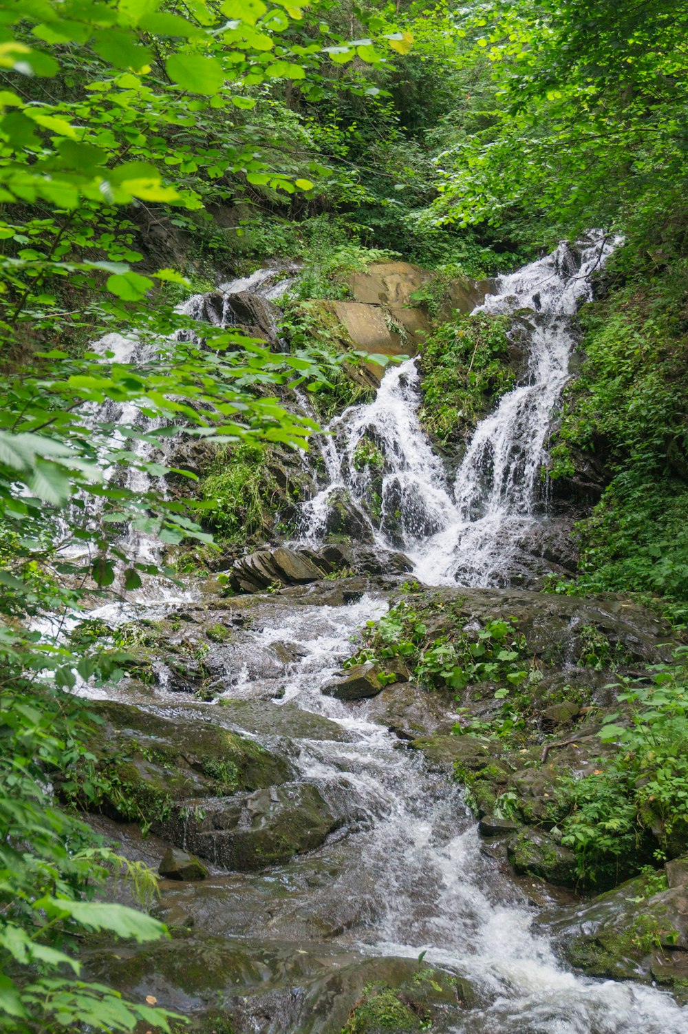 a small waterfall in the middle of a forest