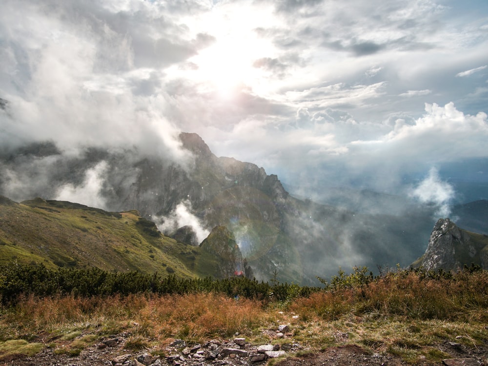 green trees beside mountain