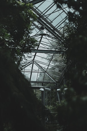 A greenhouse structure with glass panels and metal framing surrounded by dense foliage. The interior contains various green plants, and a hanging industrial light fixture is visible. The atmosphere appears dimly lit with light filtering through the glass.