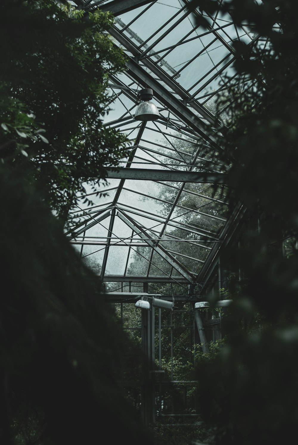 a greenhouse with a lot of plants growing inside of it