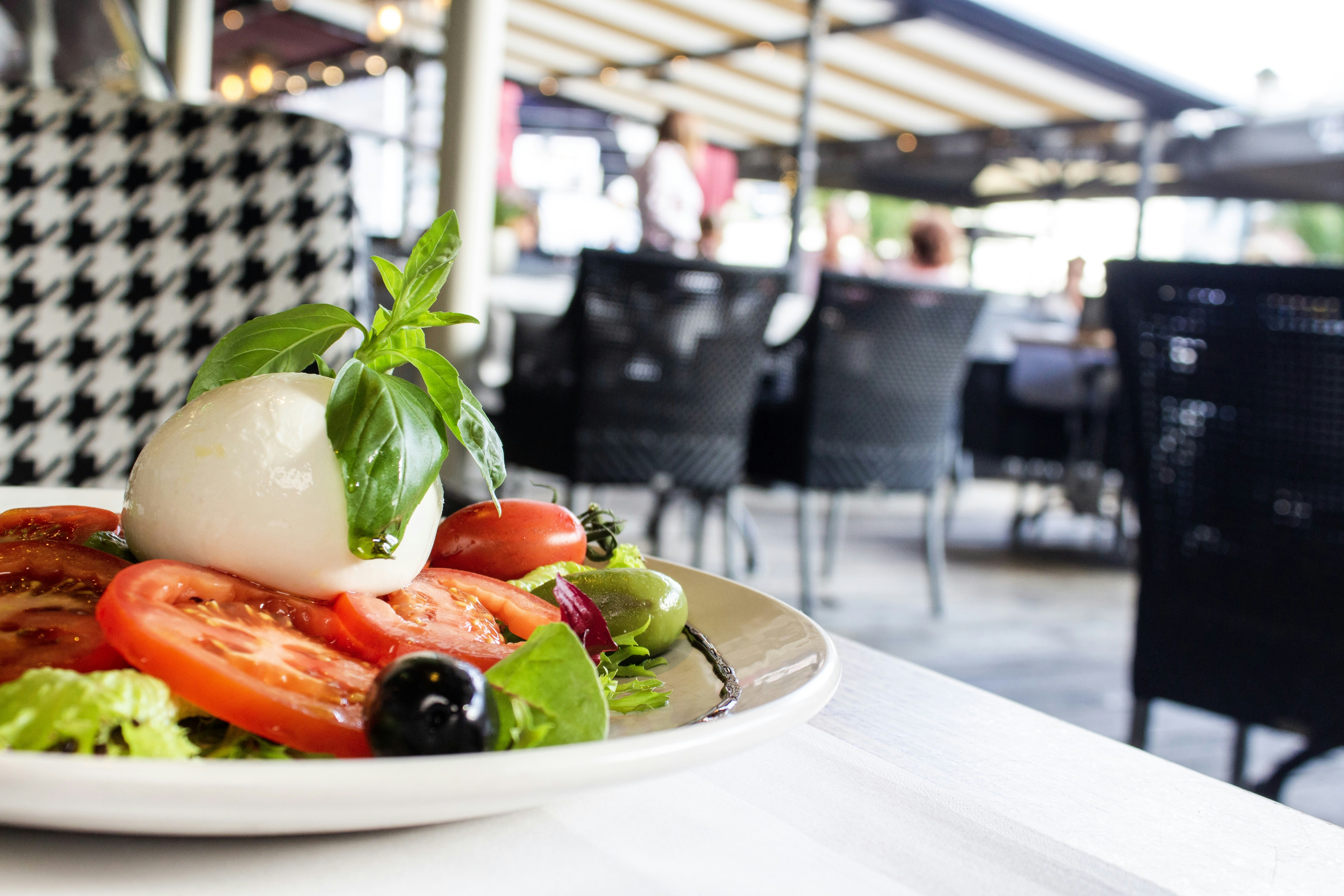 cooked dish in plate