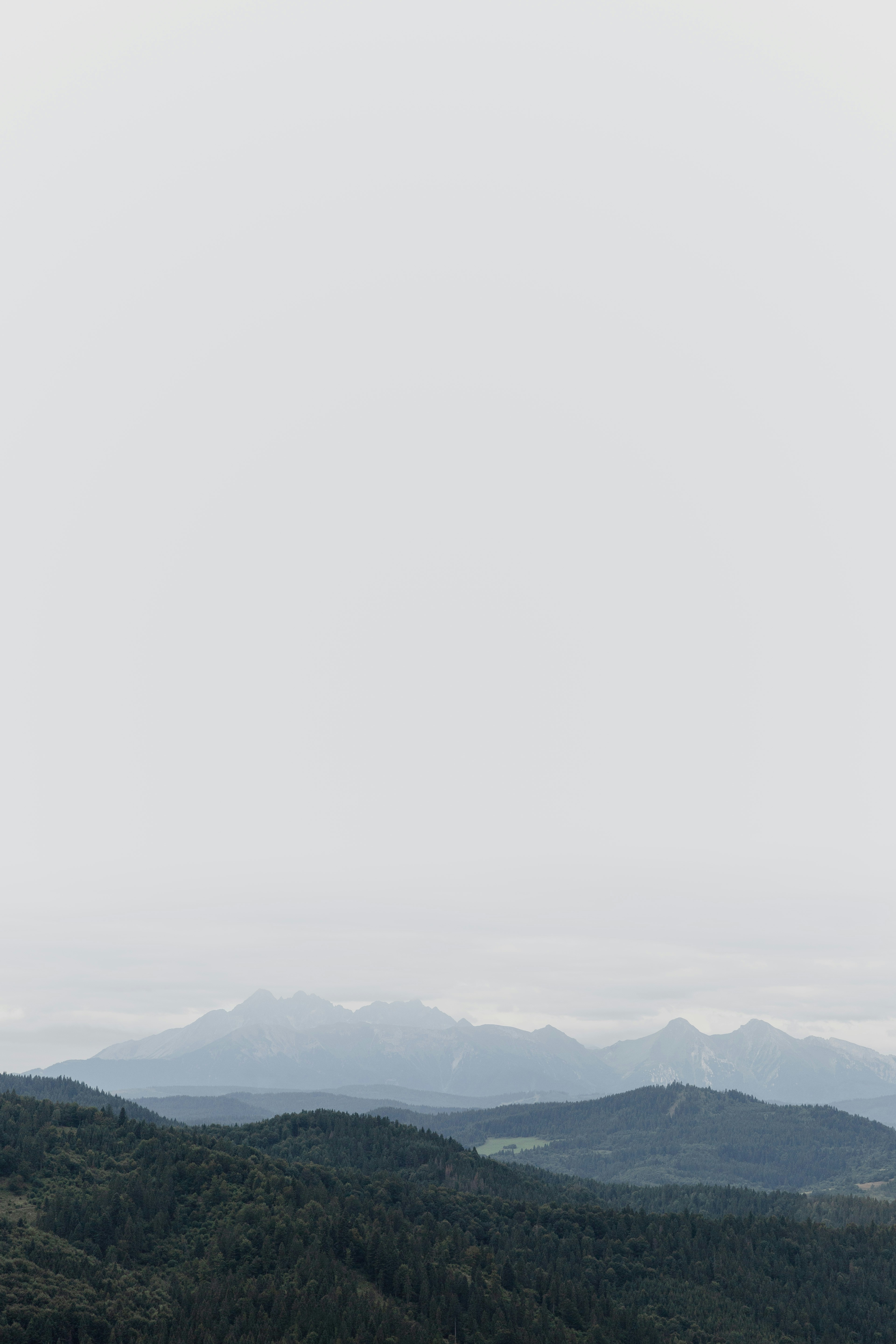 Photo by martenbjork