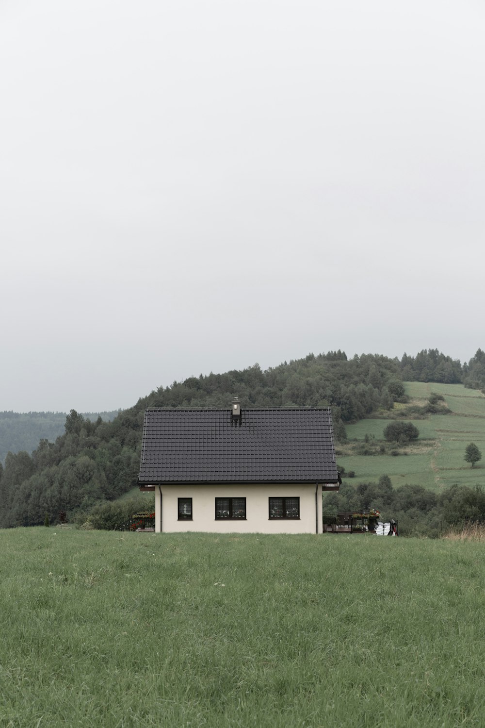 white house near trees