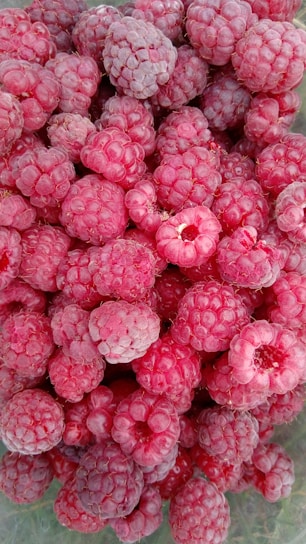 Close-up of fresh raspberries glistening in morning light on a wooden table.