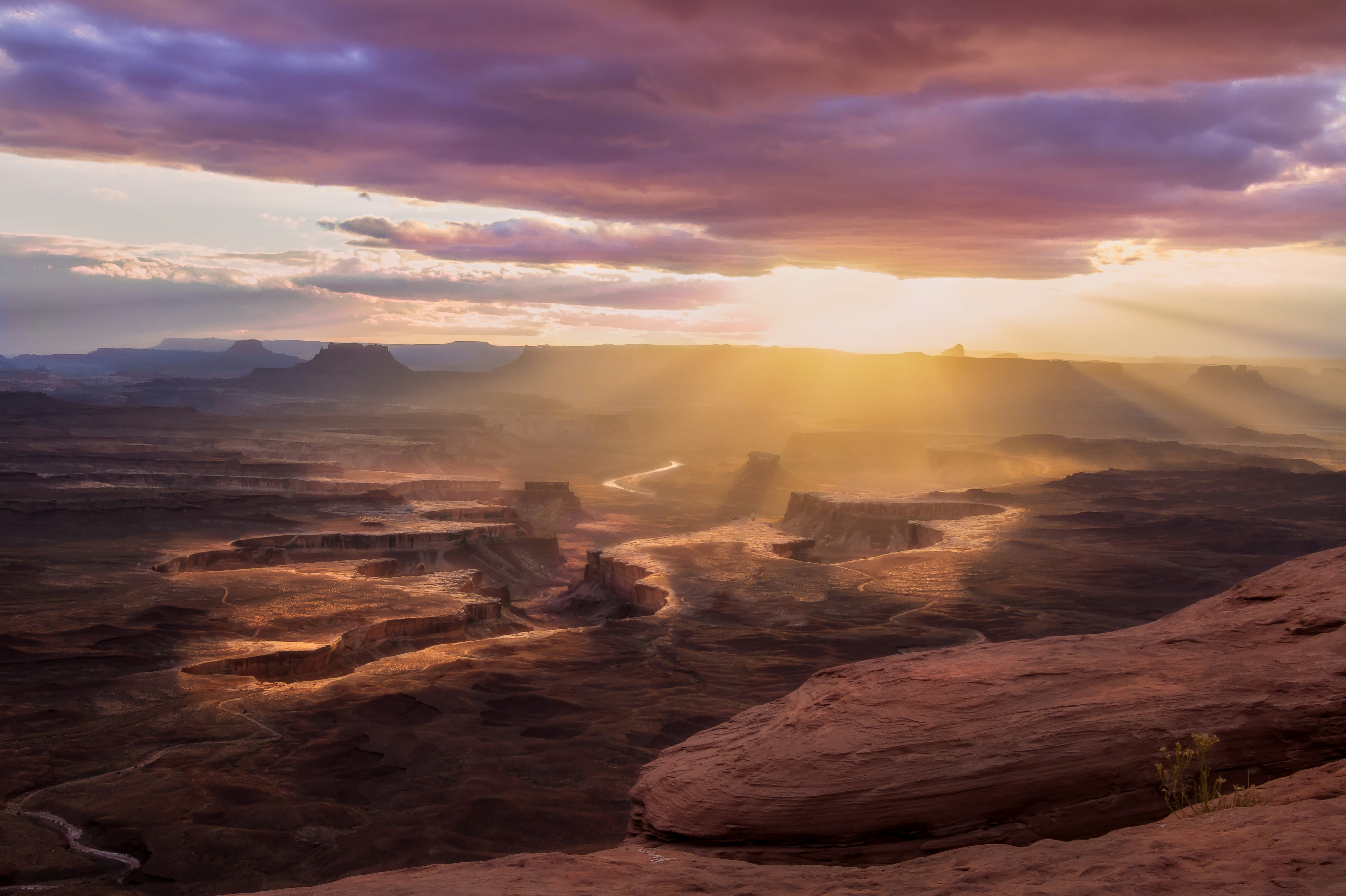 Photo by rondiel