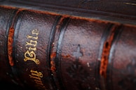 brown Bible book
