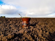 A wooden cup with a metal straw rests on a field of dark soil, suggesting a rural setting. A rainbow is visible in the background under a mostly cloudy sky with patches of blue.