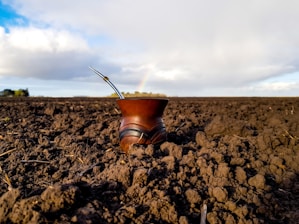 A wooden cup with a metal straw rests on a field of dark soil, suggesting a rural setting. A rainbow is visible in the background under a mostly cloudy sky with patches of blue.