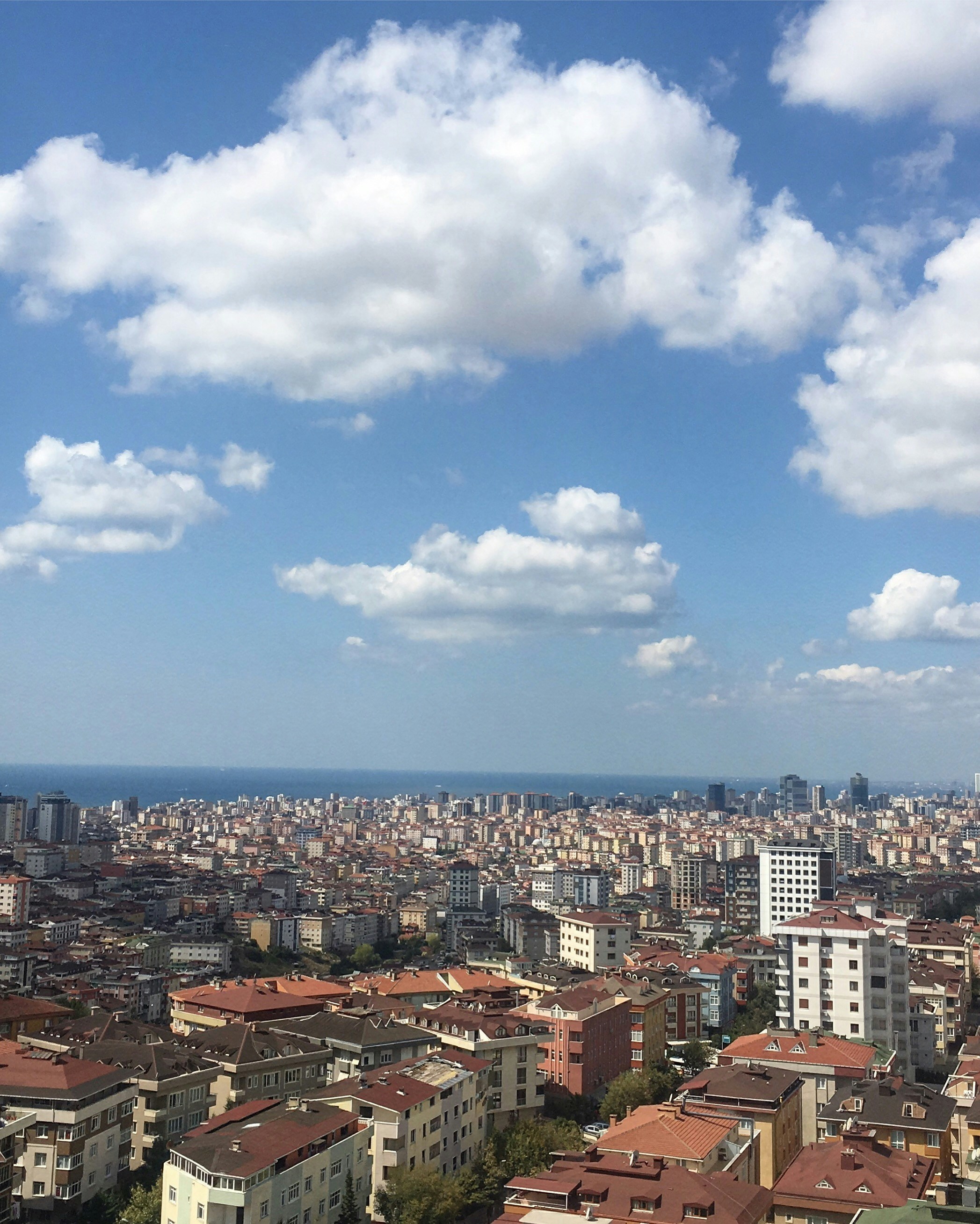high angle photo of cityscape