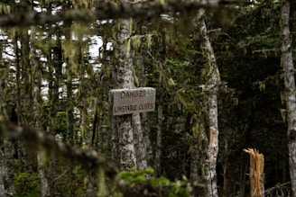 A wooden sign reading 'Danger Unstable Cliffs' is mounted on a tree surrounded by a dense forest. The trees are covered in moss, creating an eerie and foreboding atmosphere. Some broken branches are visible, adding to the sense of wilderness and caution.