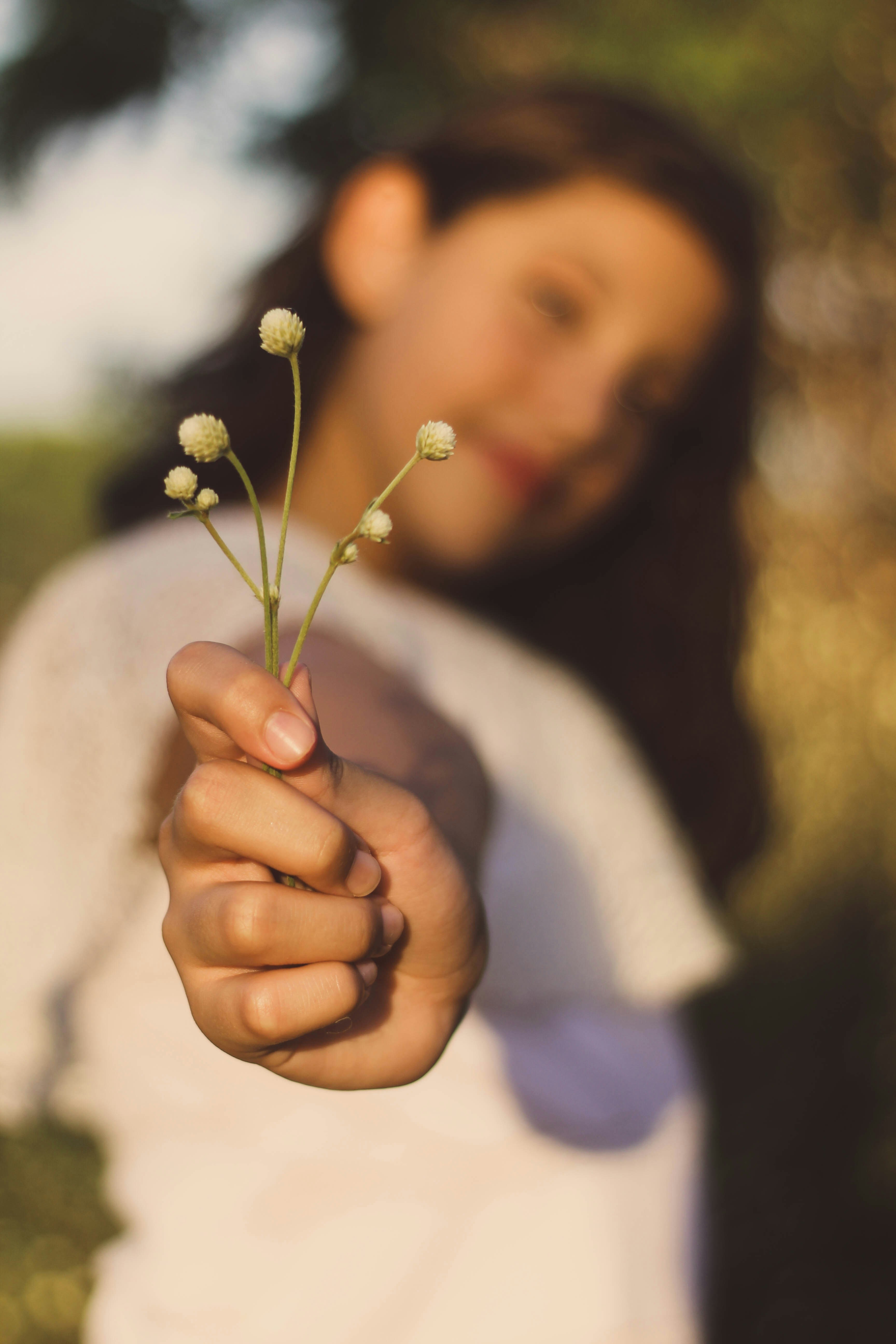 Photo by igorrodrigues