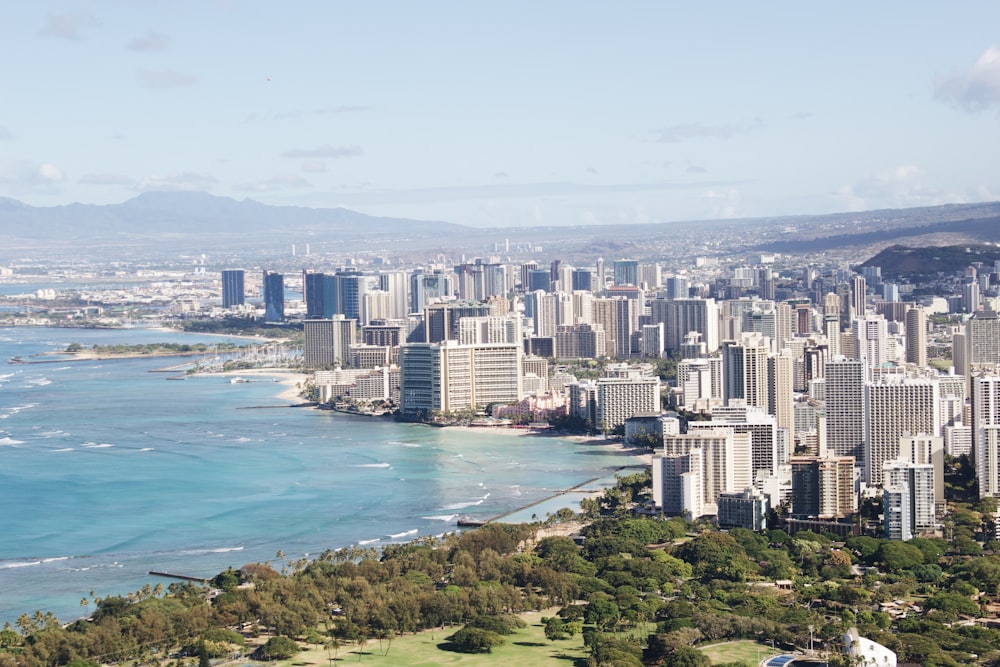 aerial photography of city building