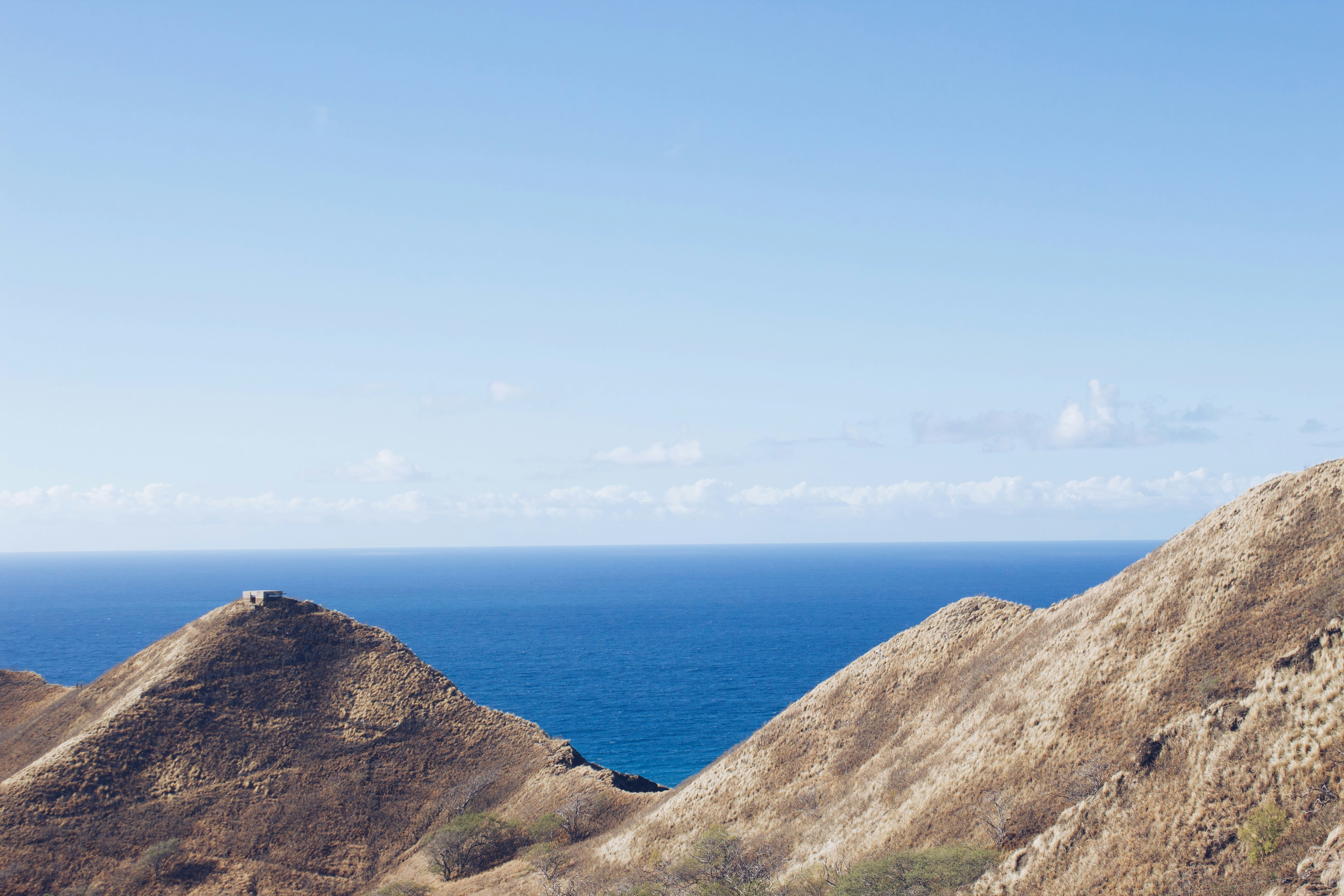 Photo by joyfulcaptures