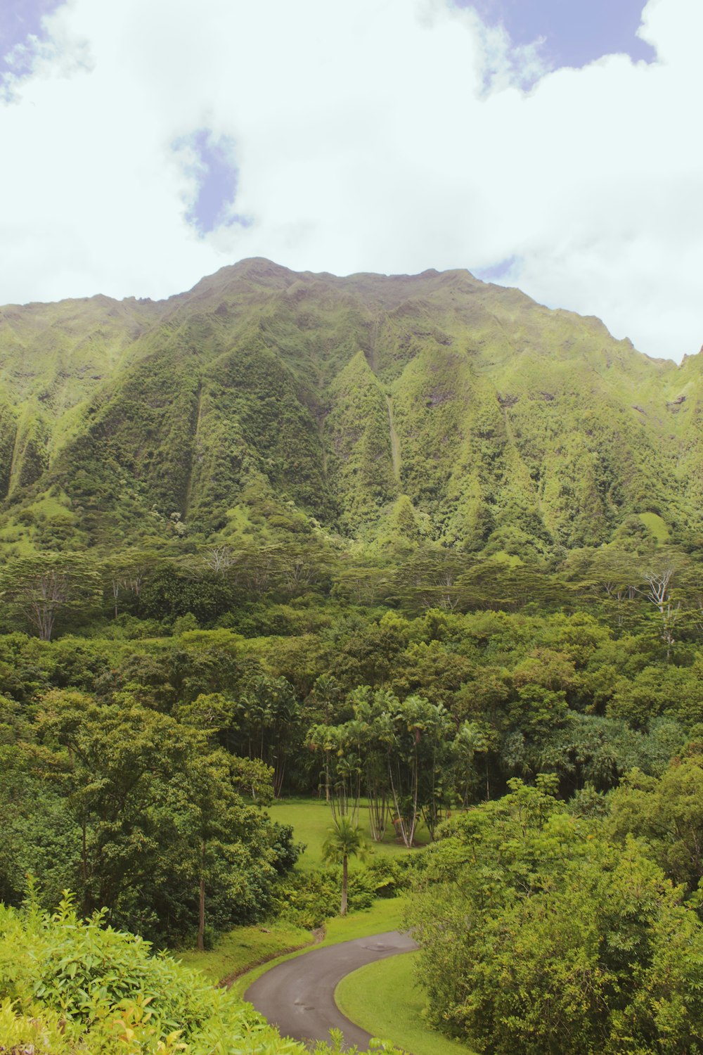 green trees