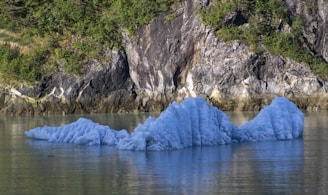 A small iceberg floats on calm waters near a rugged coastline with rocky cliffs and lush green vegetation in the background.