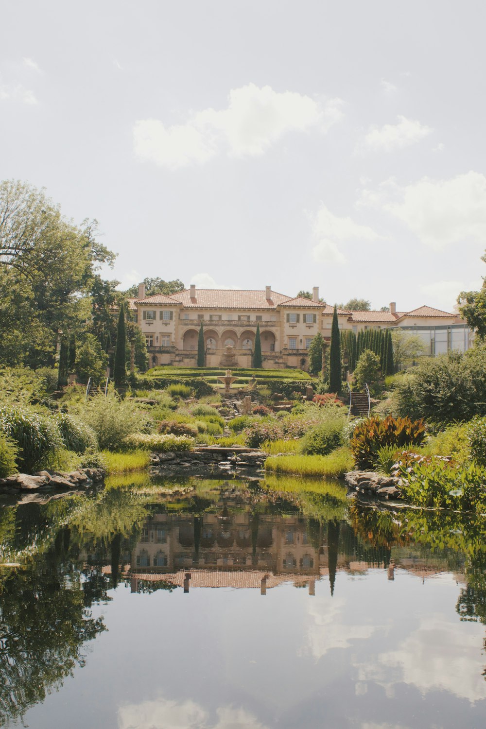 pond in garden