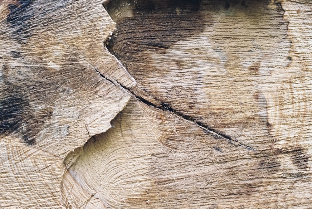 a piece of wood that has been cut in half