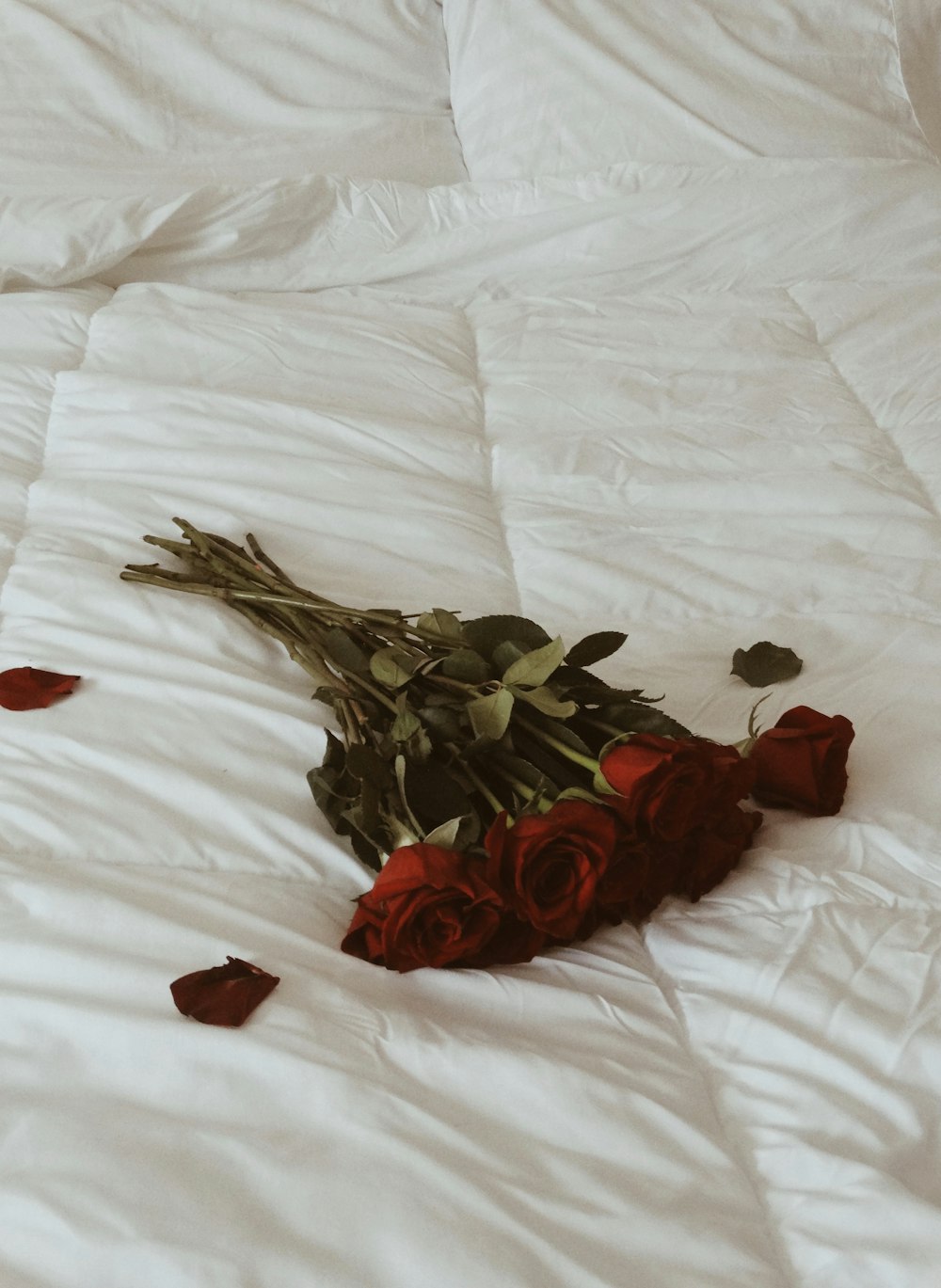 red flowers on white textile