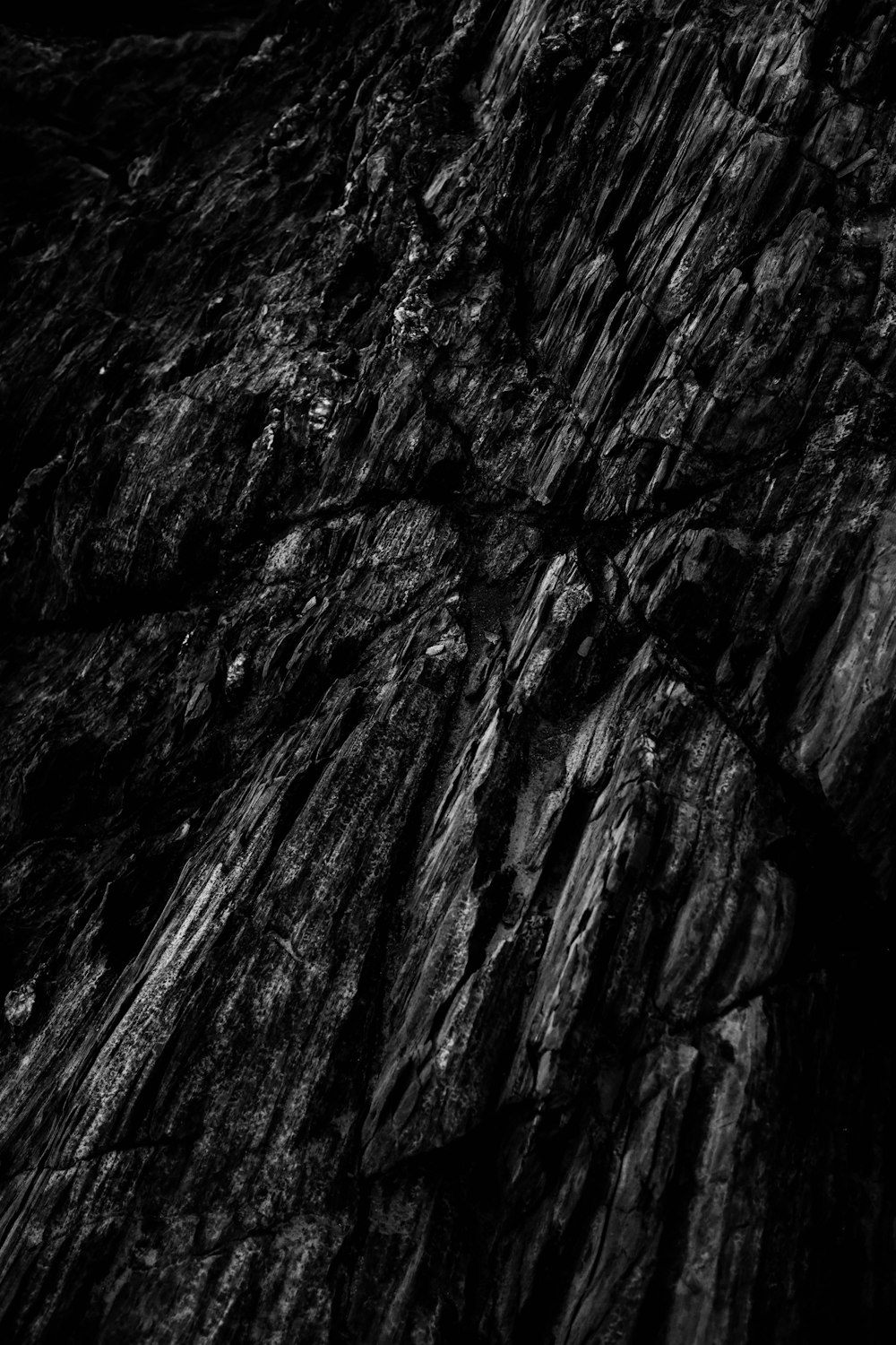 a black and white photo of a rock face