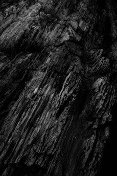 The image displays a close-up view of a rough, textured surface resembling petrified wood or aged, worn bark. The texture is intricate with deep grooves and rough edges, giving a sense of natural erosion or decay.
