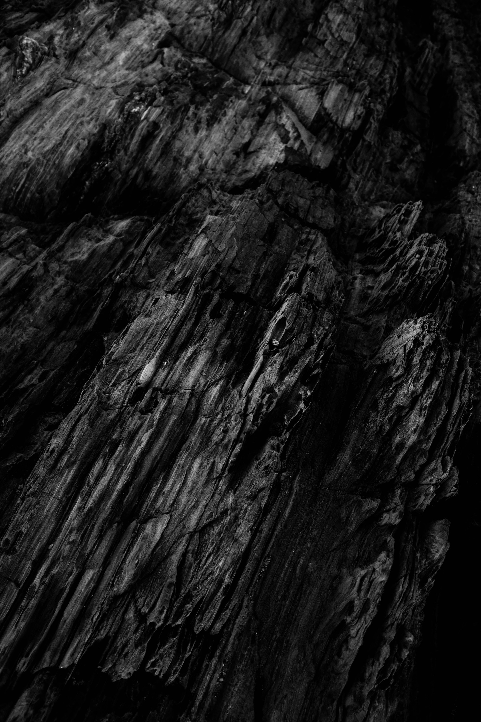 grayscale photography of plank