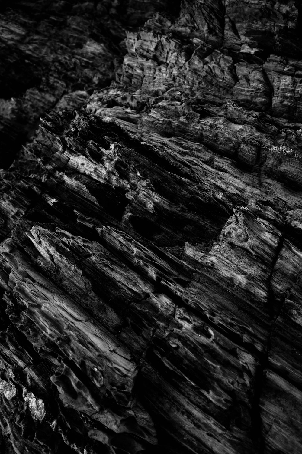 a black and white photo of some rocks