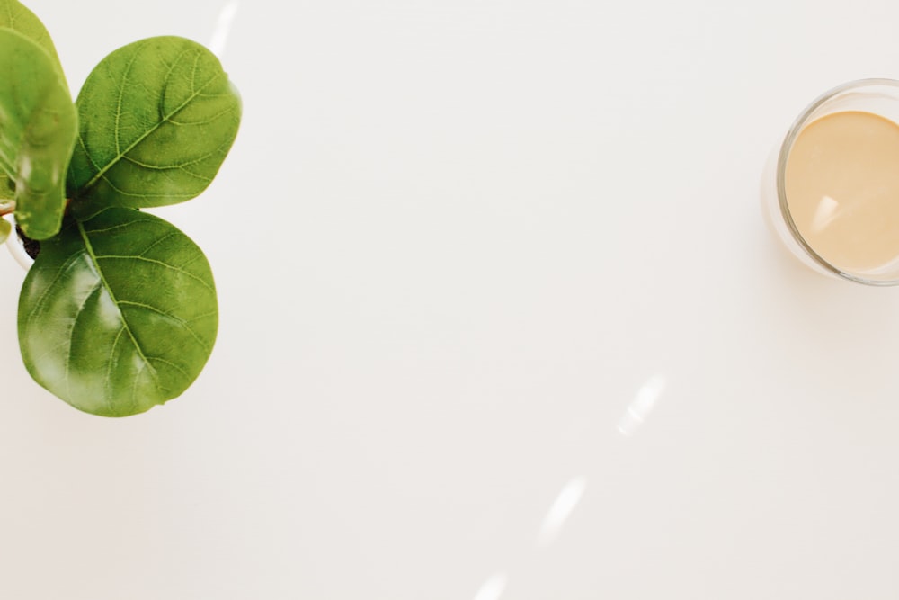 a cup of coffee next to a green leaf