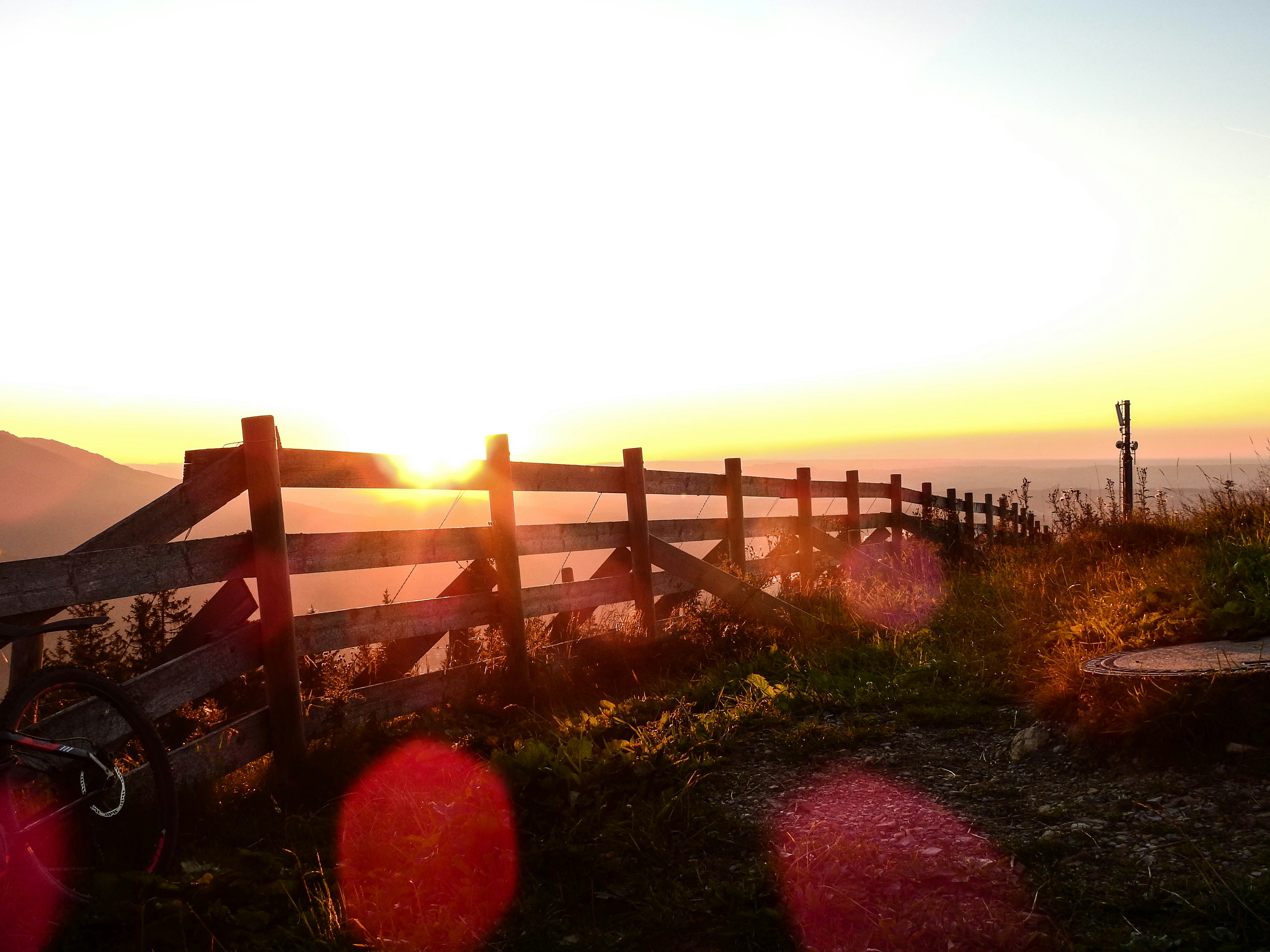 brown wooden fence