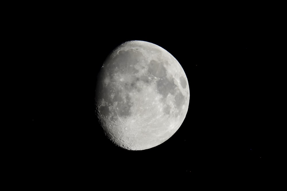 Ein Vollmond ist am dunklen Himmel zu sehen