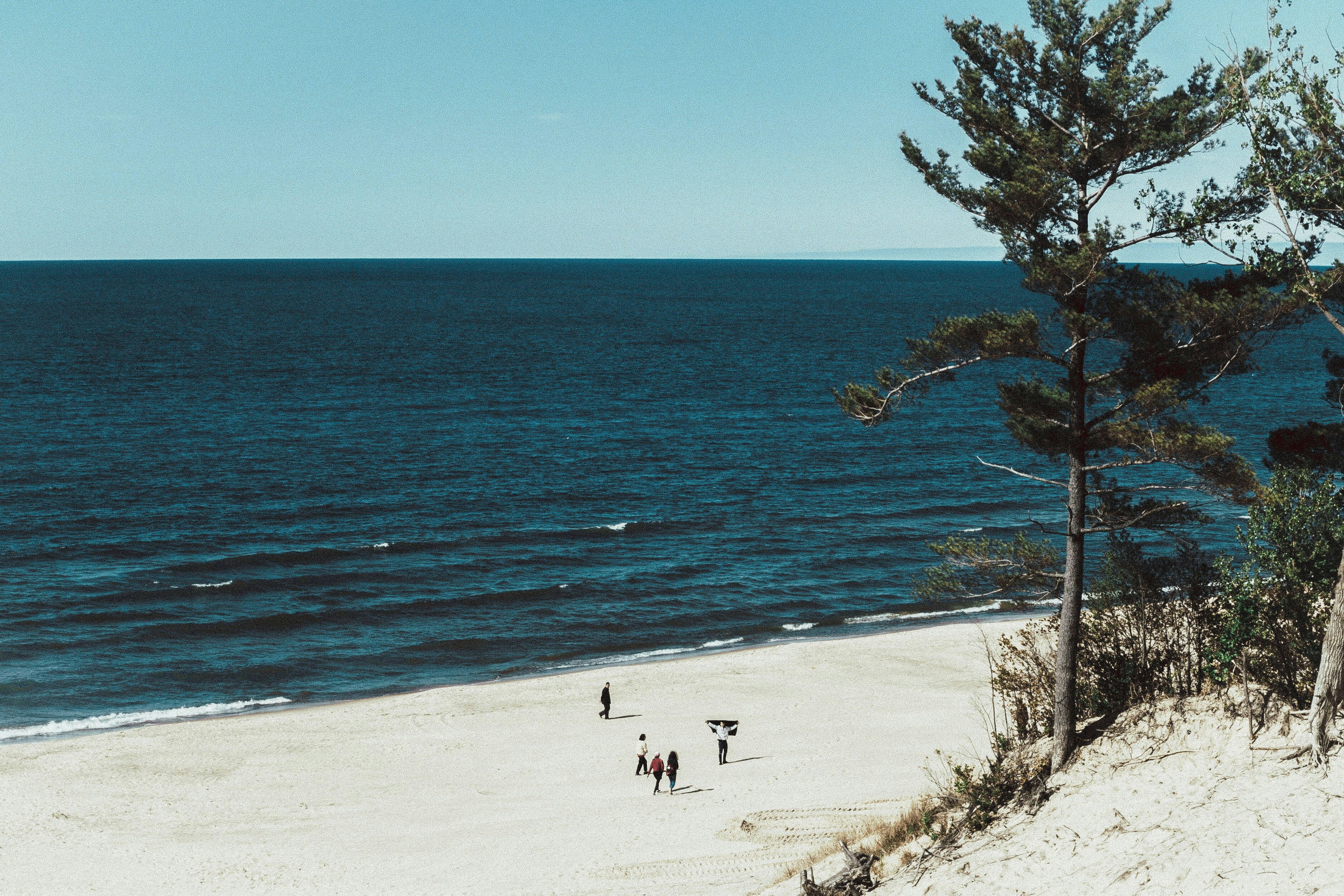 Photo by bitter_fruitt