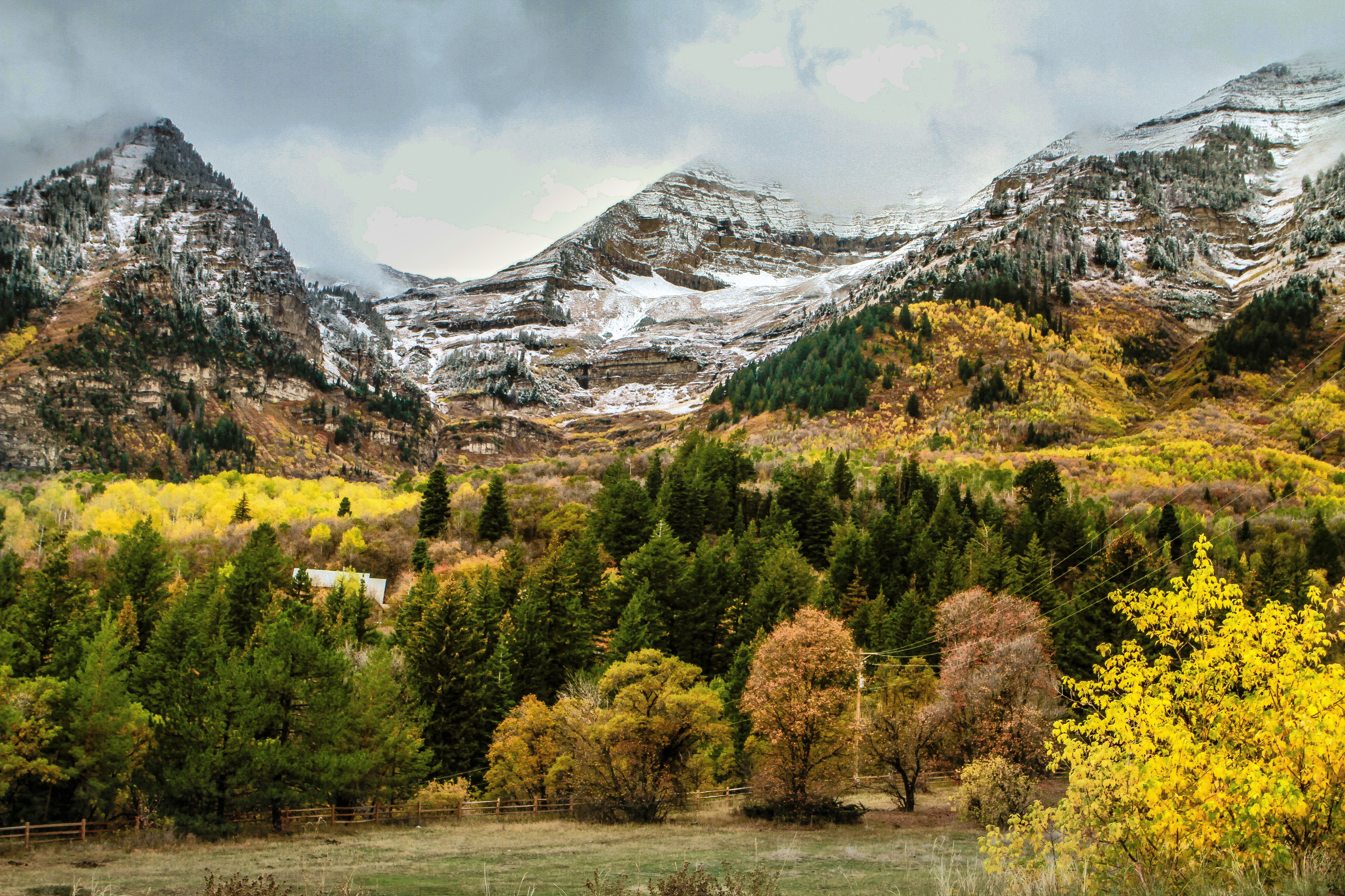 Photo by platypussdown