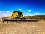A large harvester machine collecting crops under a clear blue sky