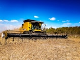 A large, yellow agricultural combine harvester operates in a field, cutting and collecting crops. The machine's wide header attachment dominates the foreground, while the background features a clear blue sky with sparse clouds and a line of trees.