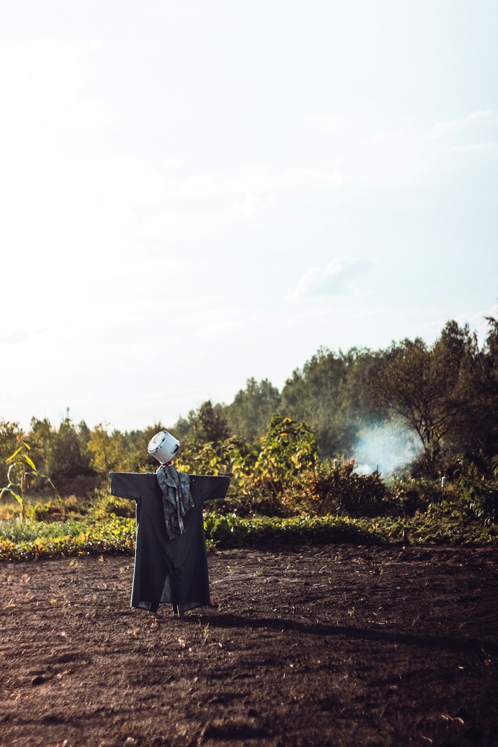 scarecrow on open field