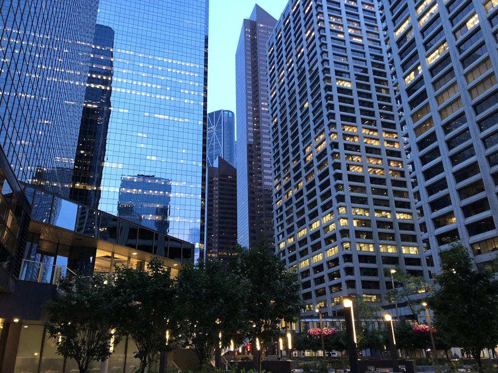 green trees near buildings