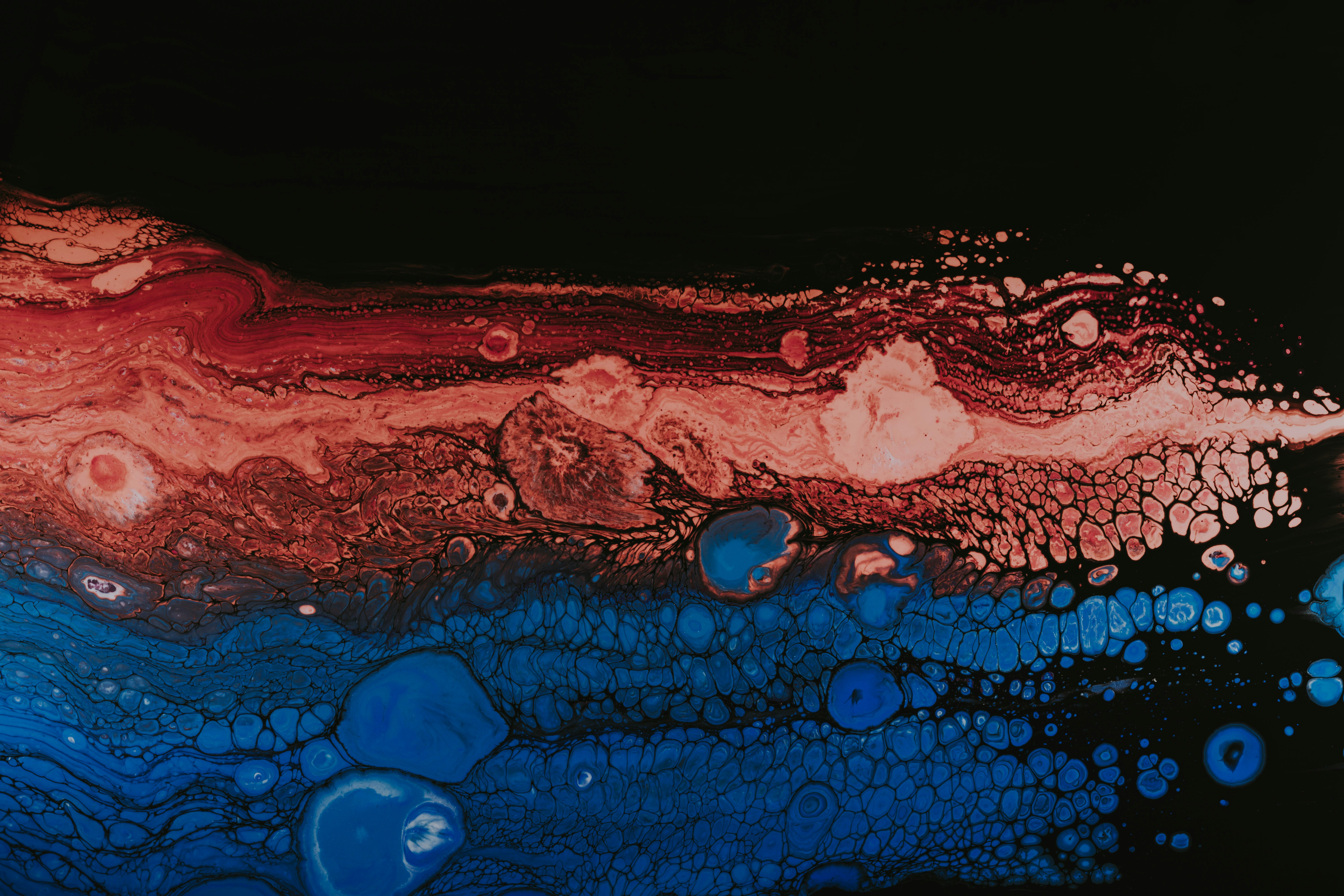 black, red, and blue abstract painting