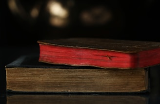 two hard-bound books