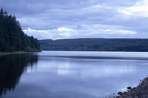 A serene lake scene with calm water reflecting the overcast sky. Dense evergreen forests line the left bank, while gentle hills stretch across the horizon. The color palette is dominated by blues and greens, creating a tranquil and peaceful atmosphere.